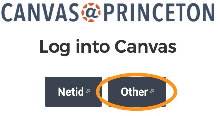 Canvas @Princeton Net ID or Other (Canvas ID) selection screen.