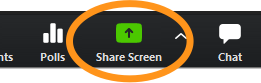 Zoom toolbar with "Share Screen" circled