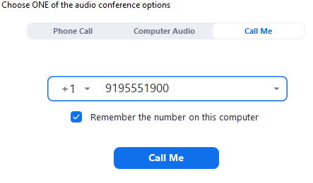 Call me now option not working