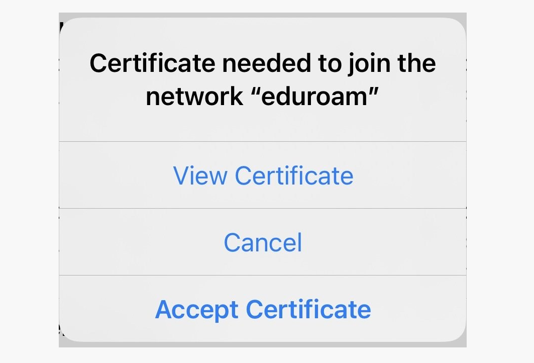 Accept server certificate