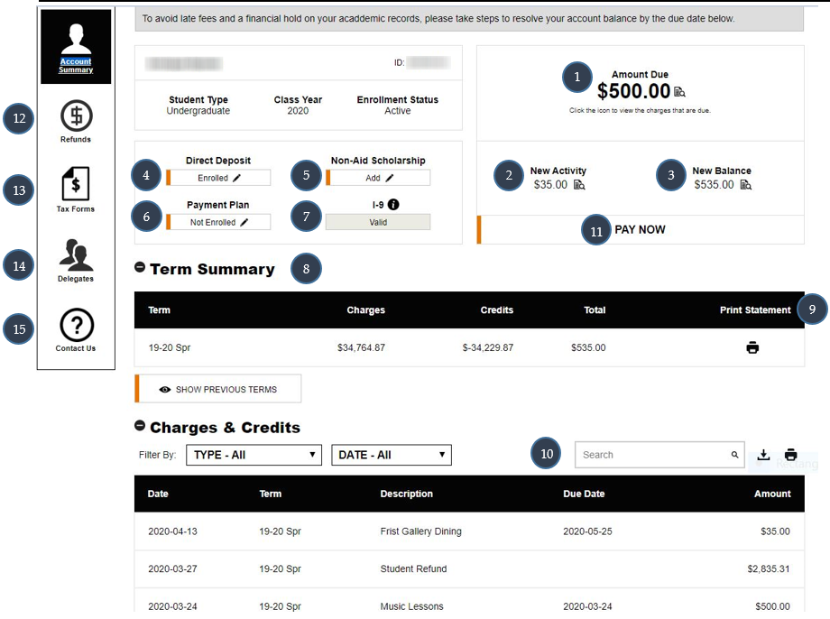 View of the undergraduate student account page, accessible from the Student Financials page on TigerHub or Tiger Family Hub. Contains an account summary for undergraduates, including an option to pay student bill.